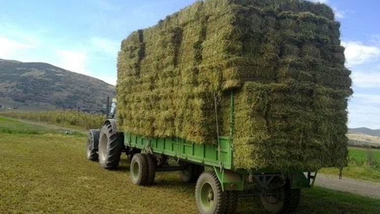 Τραγωδία στη Θεσσαλονίκη: Μπάλες τριφυλλιού έπεσαν από φορτηγό και σκότωσαν 77χρονη