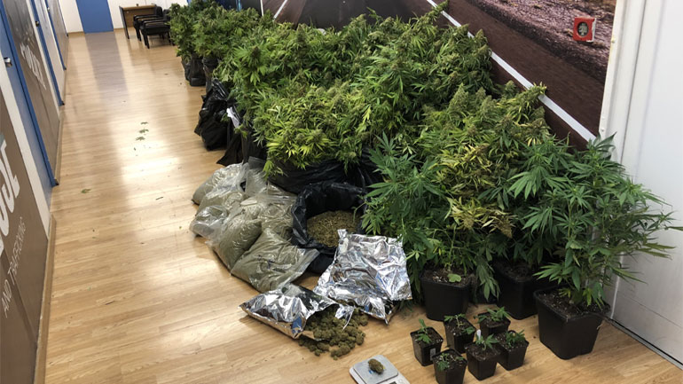 Εντοπίστηκε εργαστήριο υδροπονικής καλλιέργειας δενδρυλλίων κάνναβης σε διαμέρισμα στην Καλλιθέα
