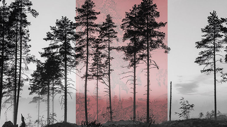 80 καλλιτέχνες στο Athens Photo Festival 2018