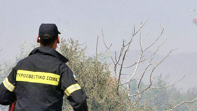 Υπό μερικό έλεγχο η φωτιά στην Αλεξανδρούπολη