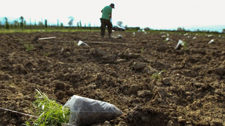 Η 15η Ιουνίου καταληκτική ημερομηνία των αιτήσεων ενίσχυσης αγροτών για το 2018