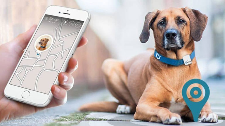 Μήπως τα pet trackers δεν είναι τόσο ασφαλή όσο νομίζουμε;