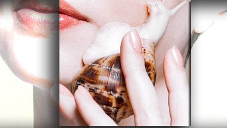 Το σαλιγκάρι γιατρεύει και ομορφαίνει!