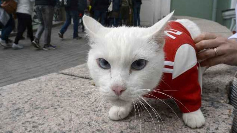 Ο Αχιλλέας προέβλεψε νίκη της Ρωσίας στον αγώνα της πρεμιέρας με τη Σαουδική Αραβία