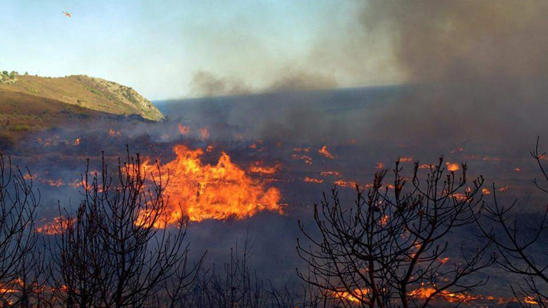 Φωτιά σε οικόπεδο στην Κερατέα