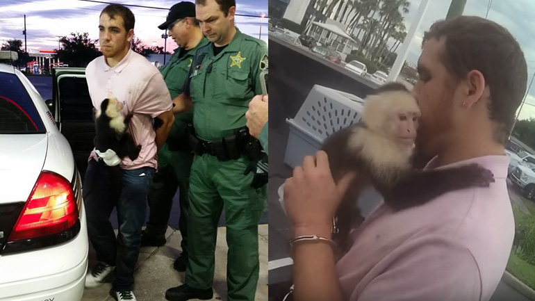 Ύποπτος συνελήφθη με… την μαϊμού του!