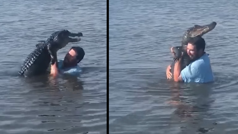 Άνδρας χορεύει με αλιγάτορα