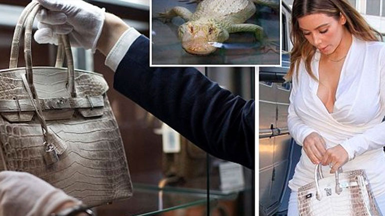 Νέο ευρωπαϊκό ρεκόρ για την Himalayan Birkin του οίκου Hermes!