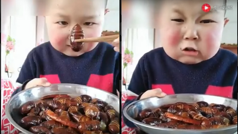 Κινεζάκι τρώει ό,τι κινείται