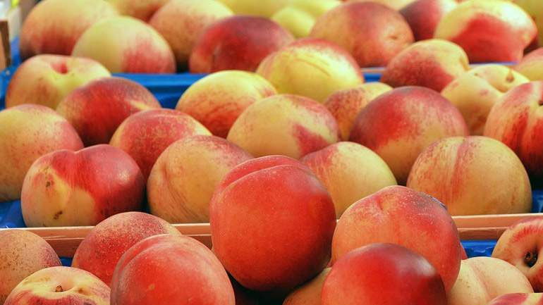 Δέσμευση φρούτων αγνώστου προελεύσεως σε επιχείρηση του Ρέντη