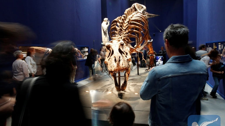 Έρευνα: Ο τρομερός Τυραννόσαυρος δεν μπορούσε να… βγάλει γλώσσα