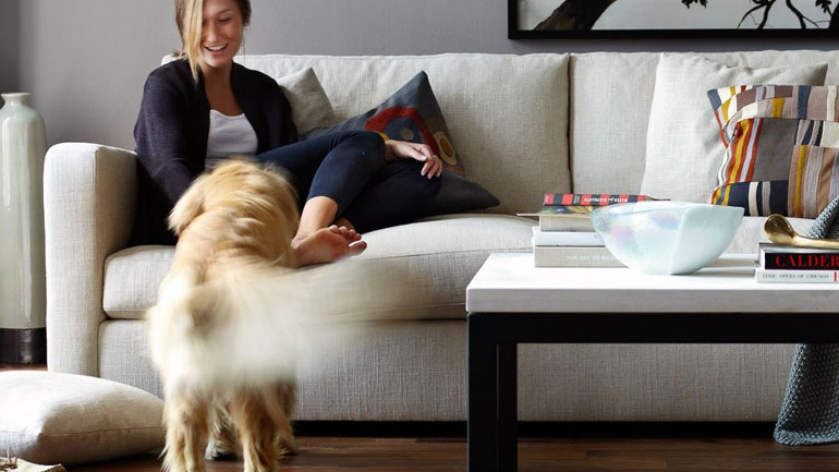 Μελέτη: Γιατί τα σκυλιά αντιδρούν στο βλέμμα μας