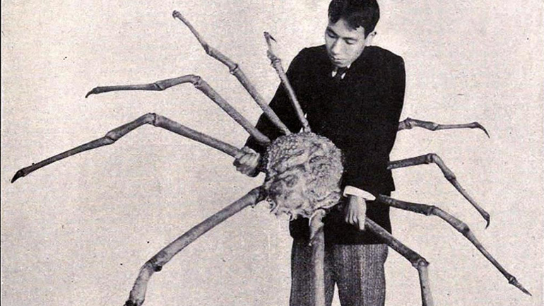 Ασυνήθιστα μεγάλα ζώα που είναι υπαρκτά