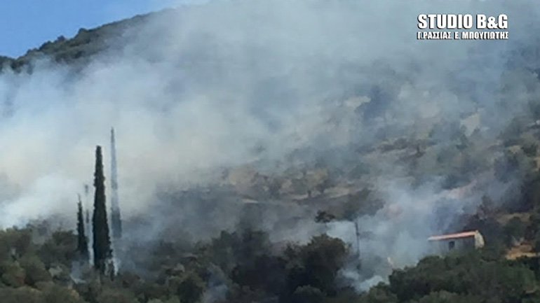 Πυρκαγιά στον Γαλατά Τροιζηνίας
