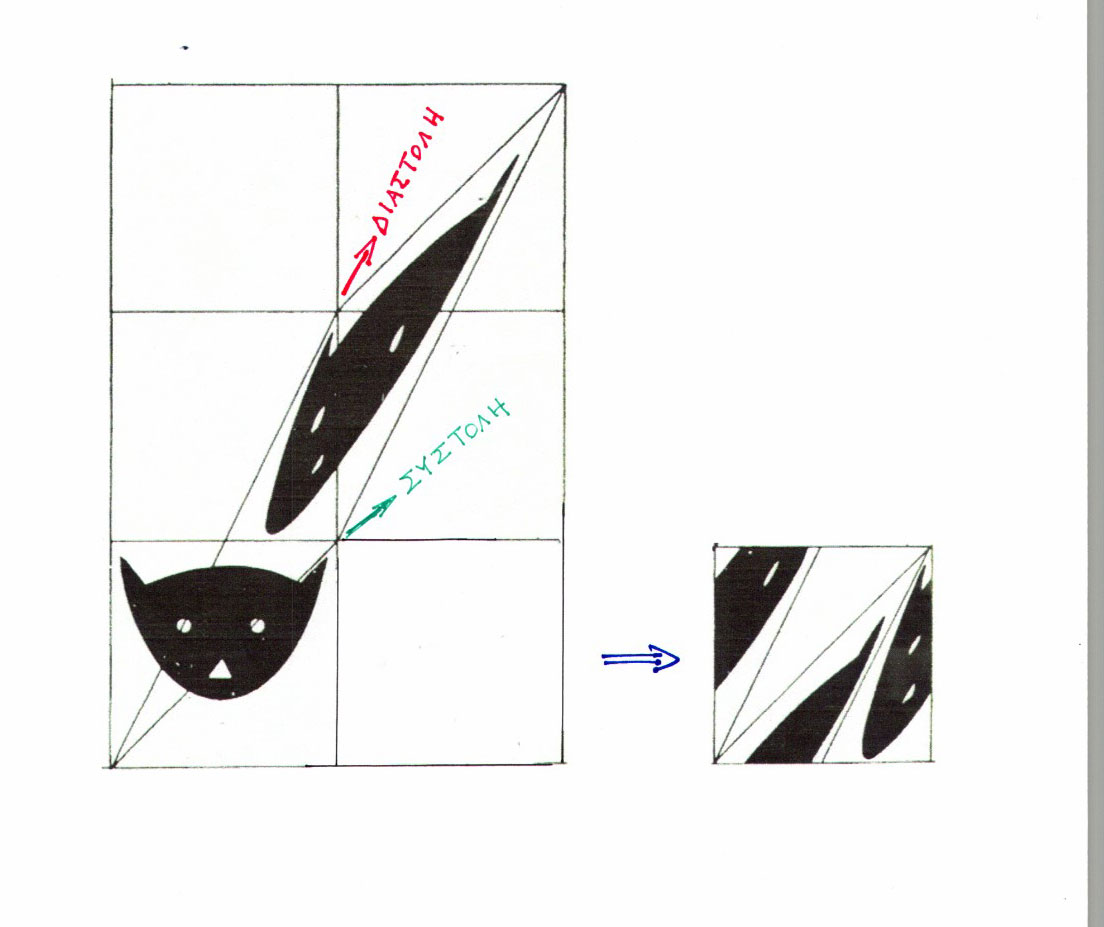 μετασχηματισμός της γάτας του Άρνολντ'