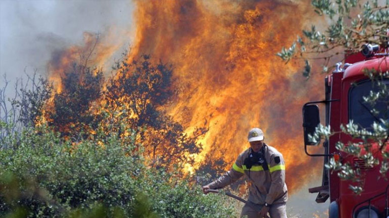 Μυτιλήνη: Περίπου 10 στρέμματα ελαιοκαλλιεργειών στη βόρεια πλευρά κάηκαν από πυρκαγιά