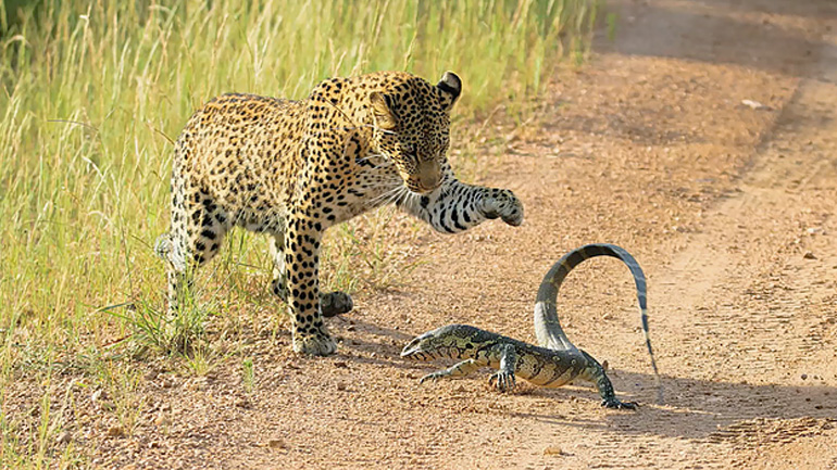 Έπρεπε να είχε φύγει