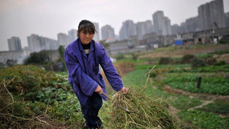 Κίνα: Μειώνονται οι τιμές των αγροτικών προϊόντων