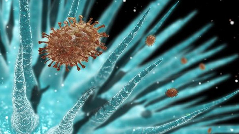 Επανεμφανίστηκε ο ιός της πολιομυελίτιδας στην Παπούα Νέα Γουινέα