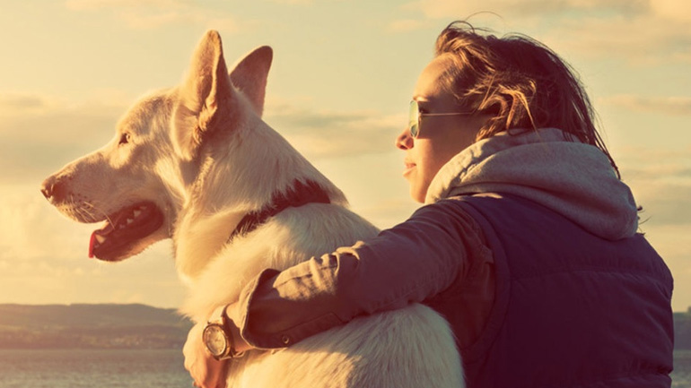 Ο σκύλος «σώζει» και από καρδιακά!