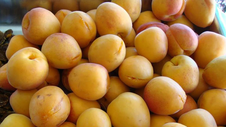 Δέσμευση 3,9 τόνων φρούτων σε επιχείρηση στην περιοχή του Ρέντη