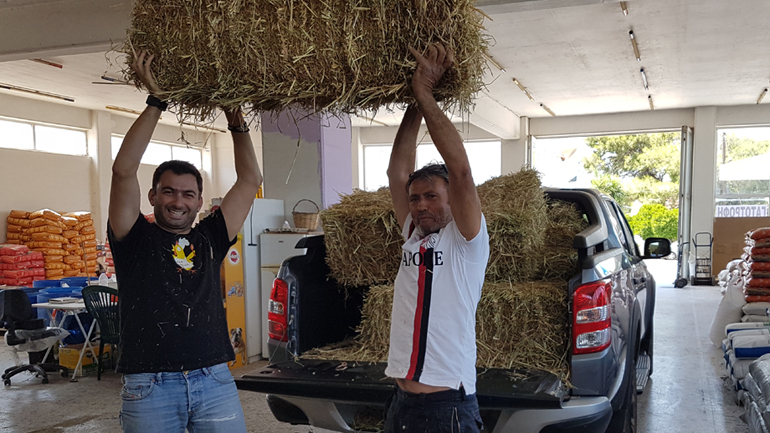 Πόσο κοστίζει το κιλό ο… σανός; Πόσο κοστίζει το κιλό ο… σανός;