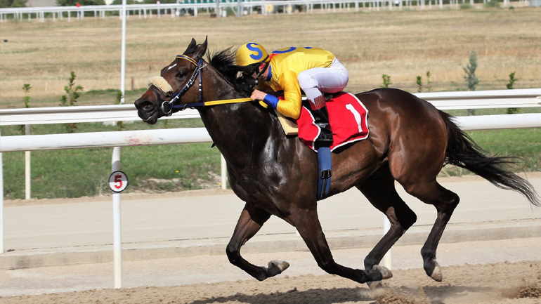 Οκτώ ιπποδρομίες σήμερα στον Ιππόδρομο Αθηνών