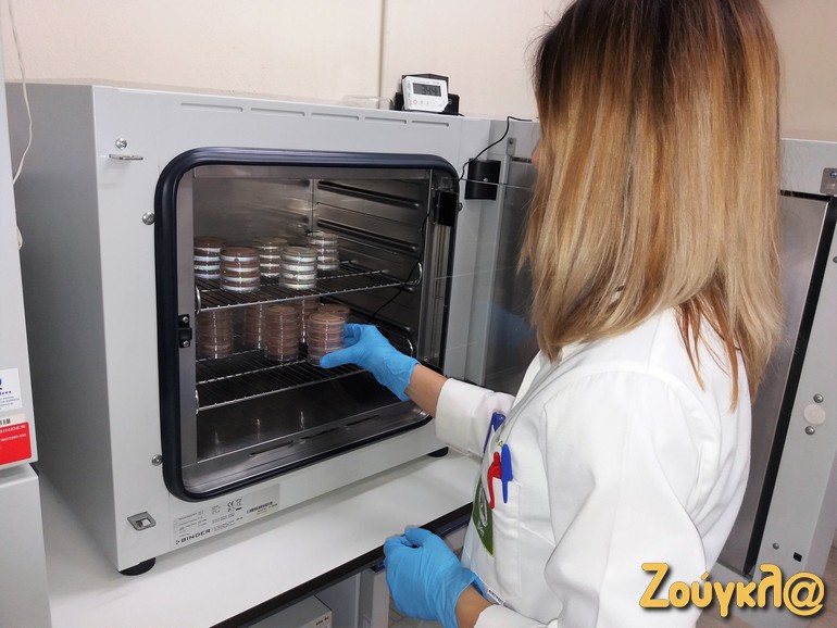 Οι επιστήμονες ελέγχουν και αναλύουν τα δείγματα, σύμφωνα με τις διαδικασίες και τις μετρήσεις που προβλέπονται από τα σχετικά ευρωπαϊκά πρότυπα