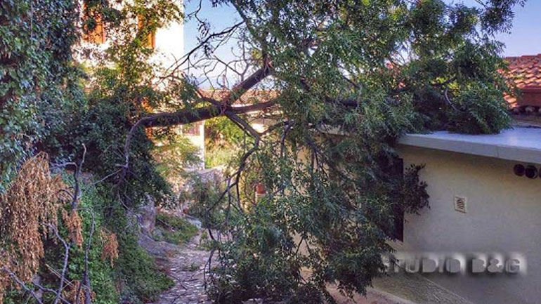 Δέντρο έπεσε πάνω σε σπίτι στο Ναύπλιο
