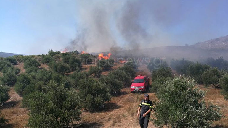 Χανιά: Μεγάλη φωτιά σε εξέλιξη – Μια ανάσα από τα σπίτια οι φλόγες Χανιά: Μεγάλη φωτιά σε εξέλιξη – Μια ανάσα από τα σπίτια οι φλόγες