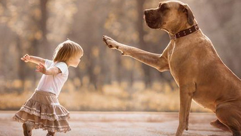 Σε ποια ηλικία μπορεί ένα παιδί να φροντίσει τον σκύλο ή τη γάτα;