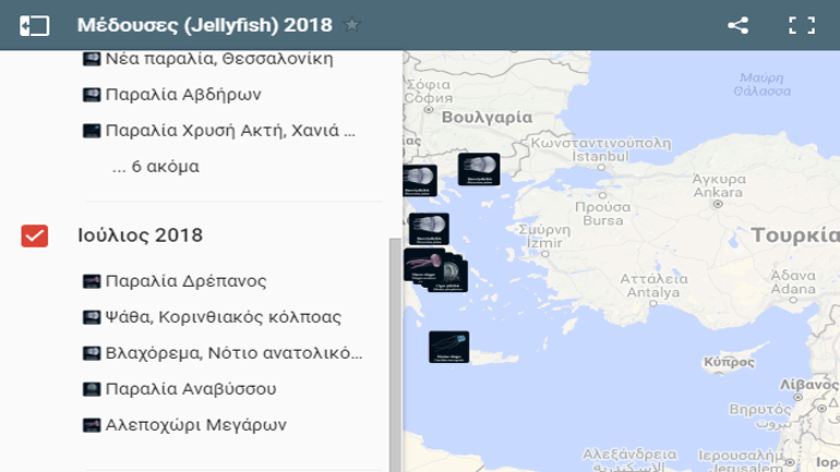 Εμφάνιση μεδουσών στις ακτές τον Ιούλιο καταγράφει το Παρατηρητήριο Βιοποικιλότητας
