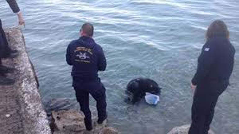 Εύρεση όπλου στη θάλασσα