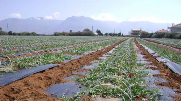 Ξεκινούν οι δηλώσεις ζημιών από τις πρόσφατες βροχοπτώσεις σε Λάρισα, Ημαθία, Πέλλα και Κοζάνη