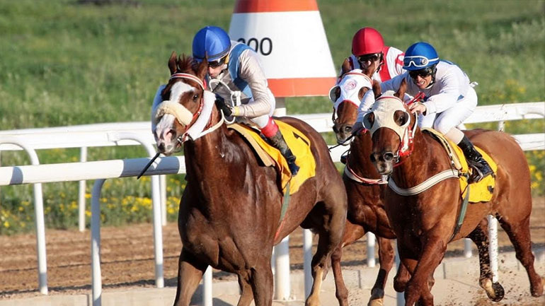 Επτά κούρσες με δυνατές συμμετοχές το Σάββατο στο Μαρκόπουλο