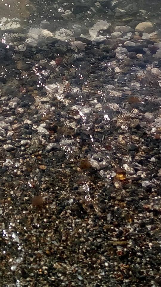 Αλεποχώρι 6 Ιουλίου 