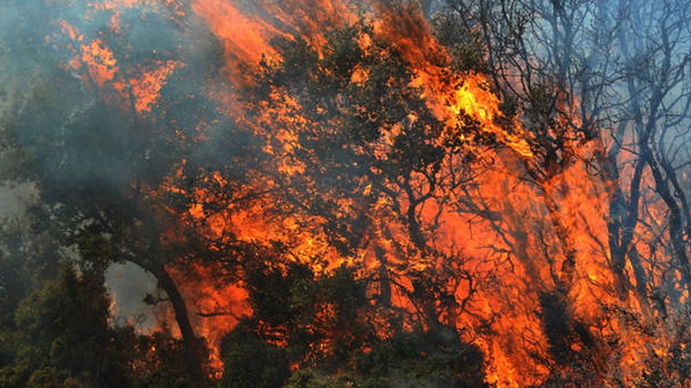 Μεγάλη φωτιά μαίνεται στο Λασίθι Μεγάλη φωτιά μαίνεται στο Λασίθι