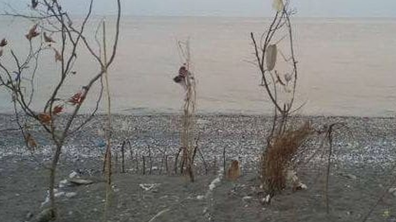 Αγιά: Διαμαρτυρία τουριστών – Στόλισαν τα δέντρα με σκουπίδια