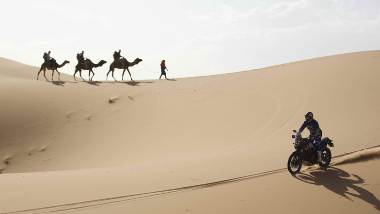 Yamaha Ténéré 700 World Raid: Στα χέρια του Peterhansel!