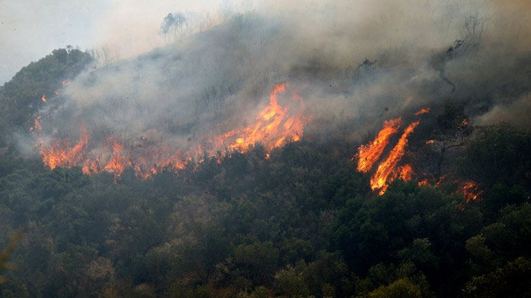 Ρέθυμνο: Σε εξέλιξη φωτιά κοντά στο χωριό Αρολίθι