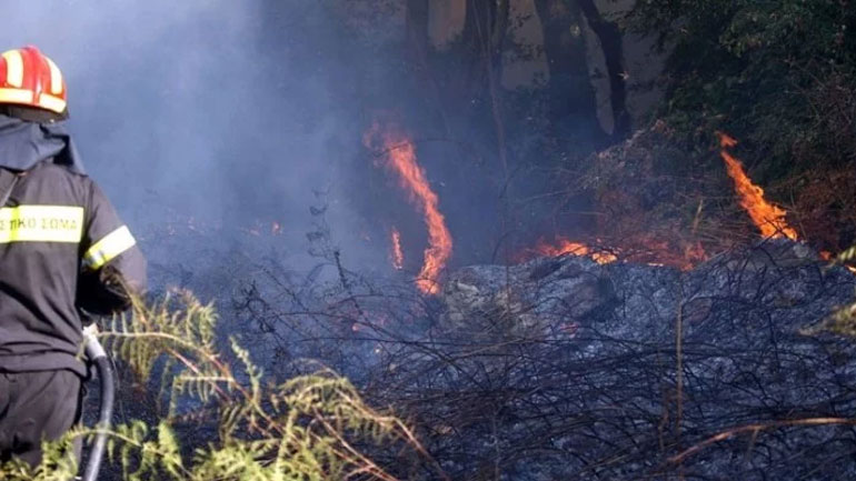 Κρήτη: Φωτιά σε χορτολιβαδική έκταση στον Πρινιά Ηρακλείου