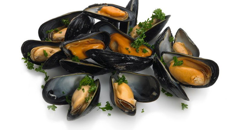 Ελέγχους για διοξίνες στα μύδια και τα οστρακοειδή ξεκινά η Περιφέρεια Κεντρικής Μακεδονίας