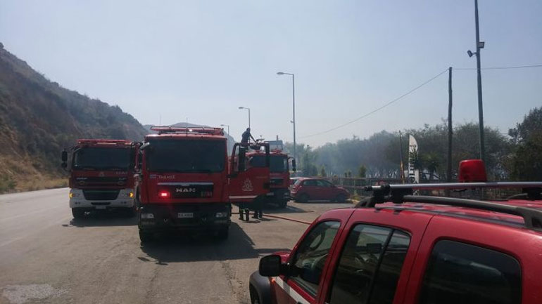 Χανιά: Πυρκαγιά κοντά σε υπαίθριο αναψυκτήριο