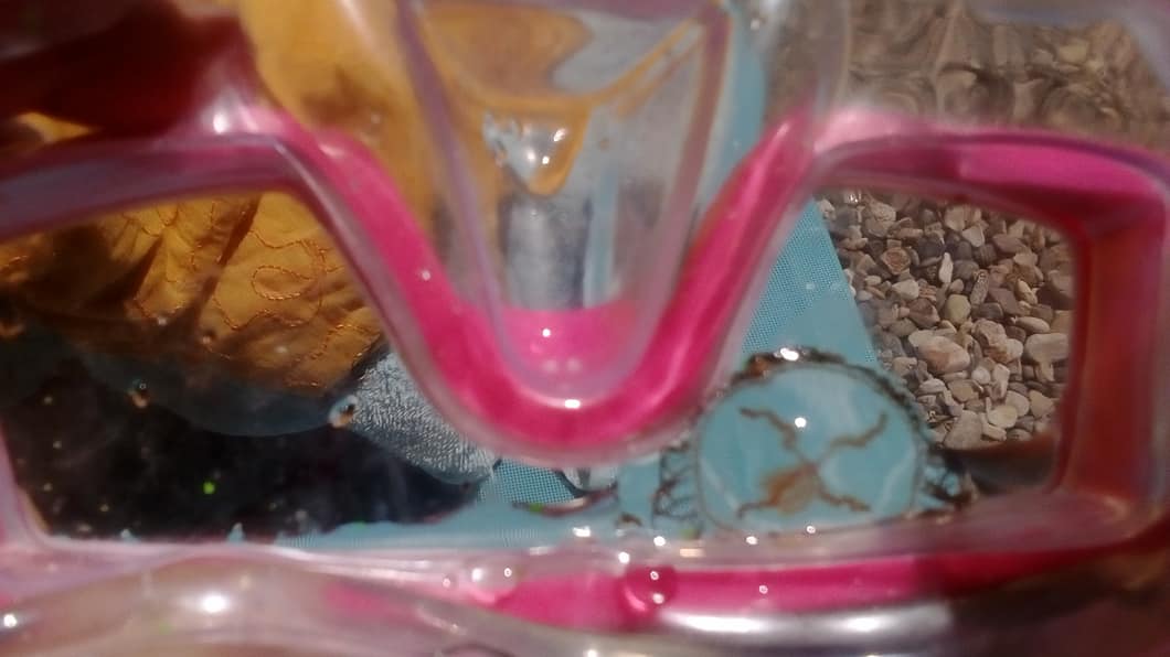 15/7/2018 Κορφος,Κορινθίας (φωτογραφία από Παρατηρητήριο)