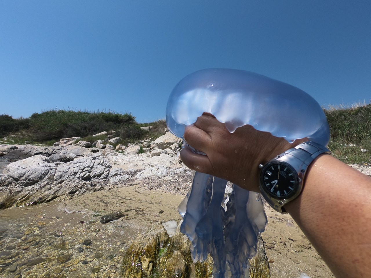 15-7-2018 στην θαλάσσια περιοχή των Αβδήρων (φωτογραφία από το Παρατηρητήριο)