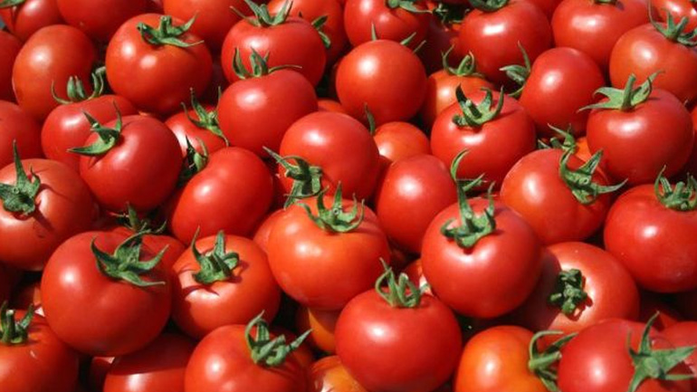 Κατασχέθηκαν 2,3 τόνοι ακατάλληλη ντομάτα