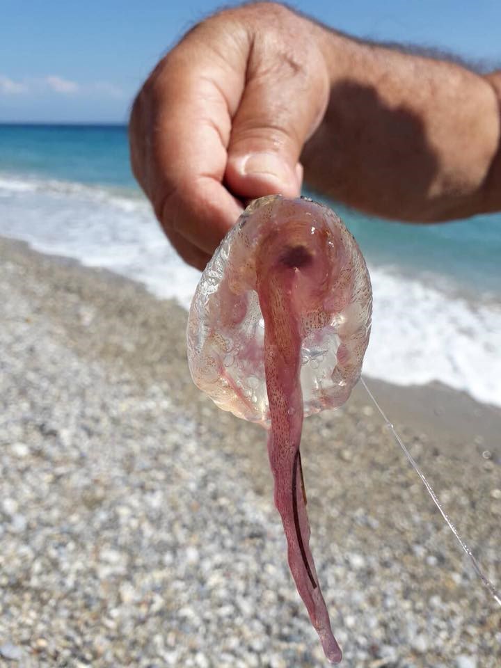 12/7/18 Κιάτο Κορινθίας (φωτογραφία από Παρατηρητήριο)
