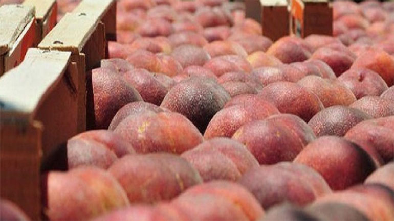 Αποζημίωση 8,5 εκατ. σε παραγωγούς που καλλιεργούν ροδάκινα και νεκταρίνια