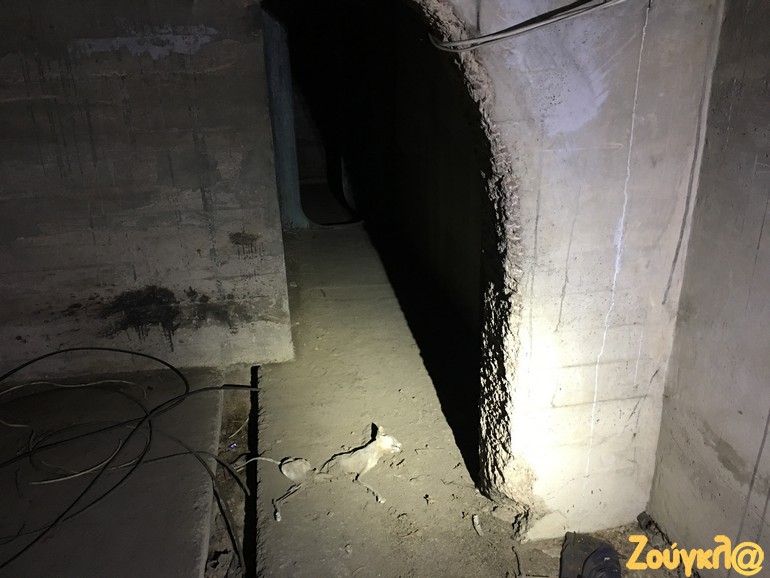 Μία γάτα, πριν από αρκετά χρόνια, παγιδεύτηκε προφανώς μέσα στο καταφύγιο, με αποτέλεσμα να βρει μαρτυρικό θάνατο. Λόγω των συνθηκών που επικρατούν, το κουφάρι της δεν έχει λιώσει εντελώς