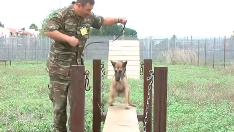 Γνωρίστε το Κέντρο Εκπαίδευσης Νοσηλείας Κτηνιατρικού (ΚΕΝΟΚ) του Ελληνικού Στρατού